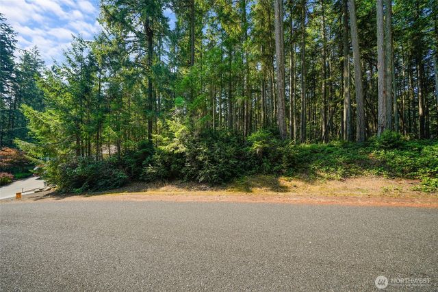 10018 Edgewood Drive, Anderson Island, WA 98303