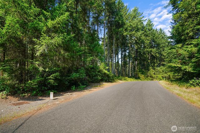 10018 Edgewood Drive, Anderson Island, WA 98303