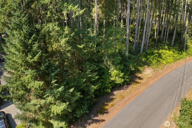 10018 Edgewood Drive, Anderson Island, WA 98303