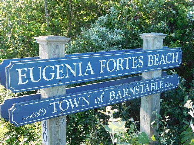 209 Greenwood Avenue, Hyannis Port, MA 02647