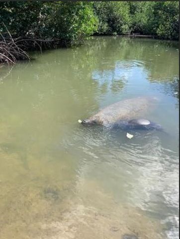 24840 Park Drive, Summerland Key, FL 33042