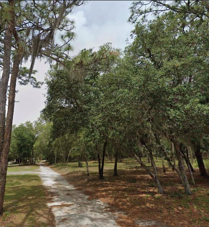 1163 E CANVAS LANE, Hernando, FL 34442