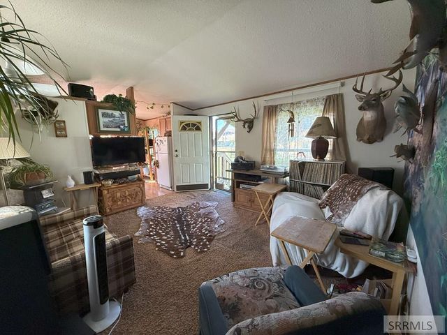 233 Obsidian Drive, Salmon, ID 83467