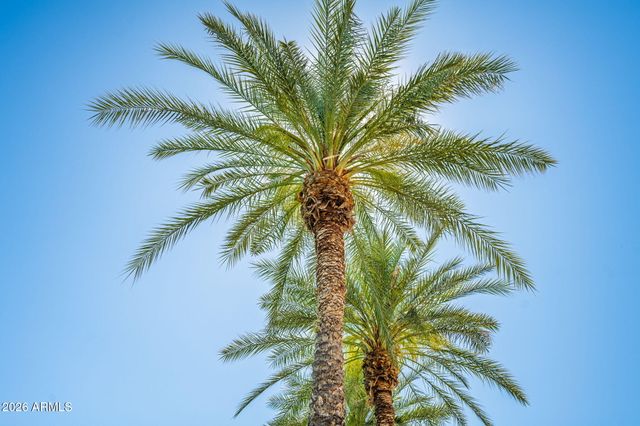 16840 S 36TH Place, Phoenix, AZ 85048