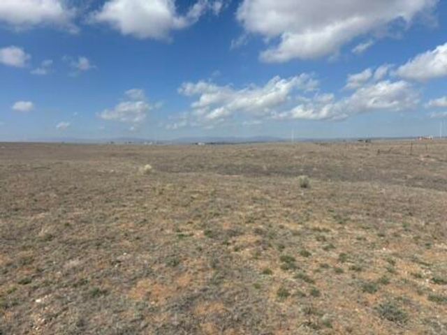 Antelope Sprngs Lot 35, 61, 62 Drive, Estancia, NM 87016