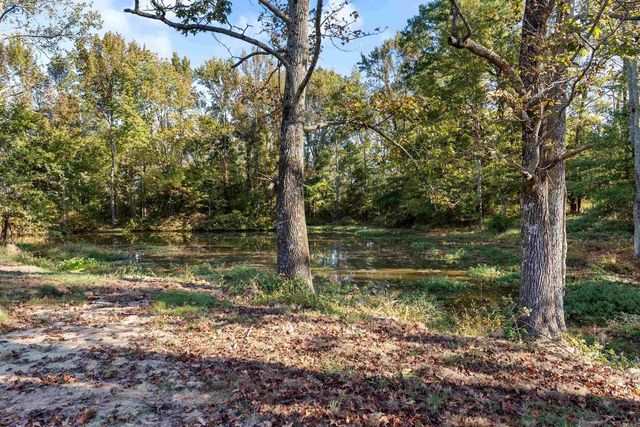 2535 Covington Road, Ward, AR 72176