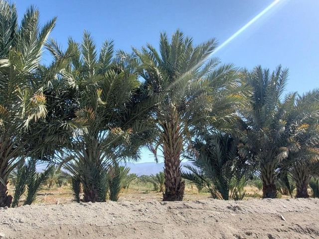 0 Calhoun Street, Coachella, CA 92236