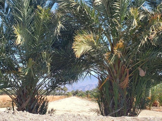 0 Calhoun Street, Coachella, CA 92236