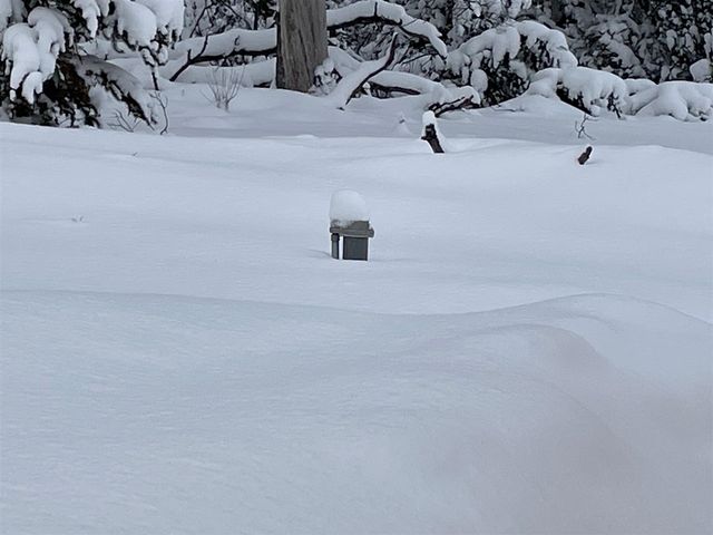 5102 W 4 Mile Road, Irons, MI 49644