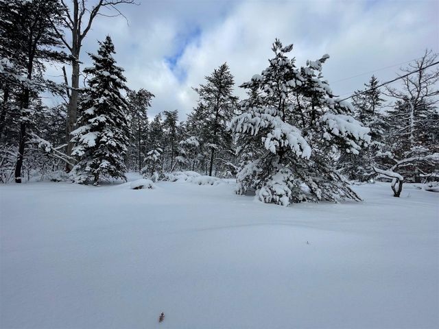 5102 W 4 Mile Road, Irons, MI 49644