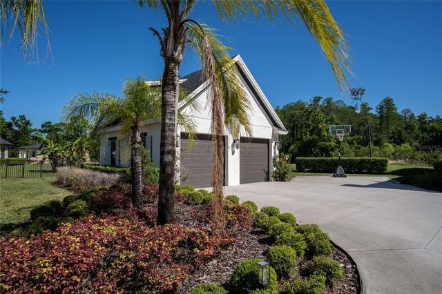 19101 MAGNOLIA FARMS LANE, Odessa, FL 33556