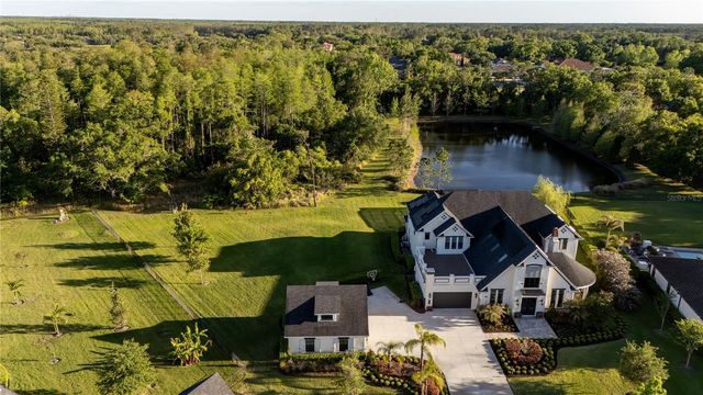 19101 MAGNOLIA FARMS LANE, Odessa, FL 33556