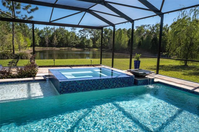 19101 MAGNOLIA FARMS LANE, Odessa, FL 33556