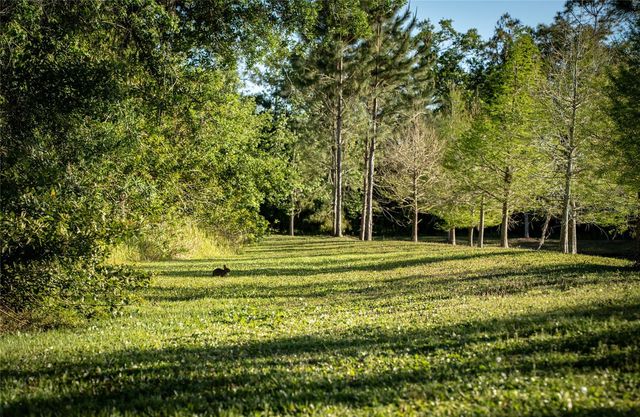 19101 MAGNOLIA FARMS LANE, Odessa, FL 33556