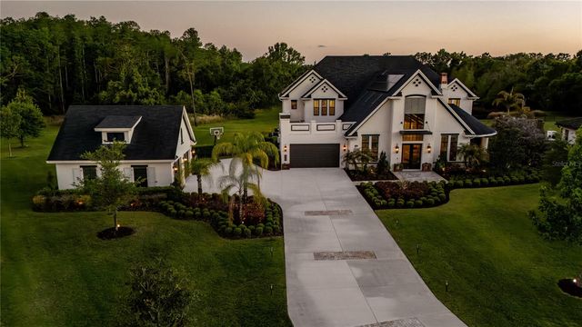 19101 MAGNOLIA FARMS LANE, Odessa, FL 33556