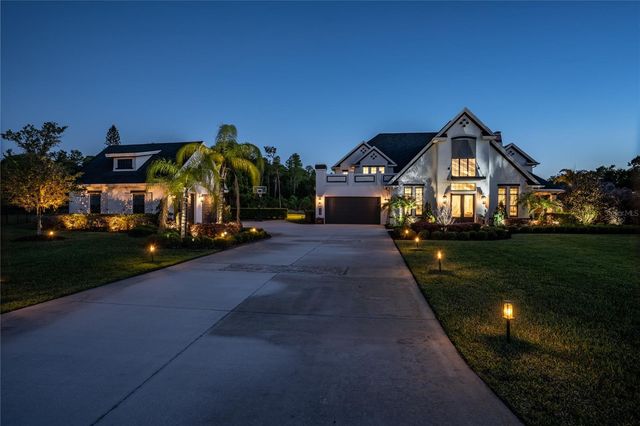 19101 MAGNOLIA FARMS LANE, Odessa, FL 33556