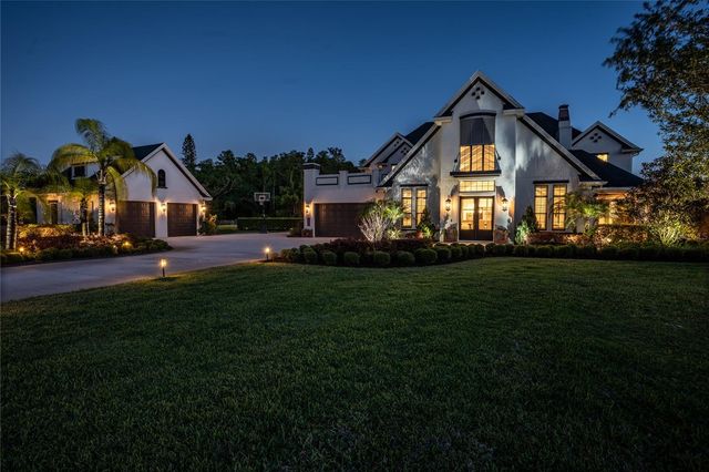 19101 MAGNOLIA FARMS LANE, Odessa, FL 33556