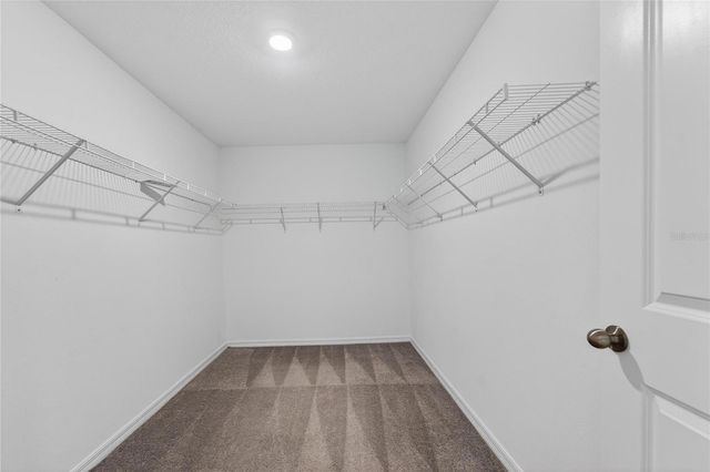 12905 WILDFLOWER MEADOW DRIVE, Riverview, FL 33579