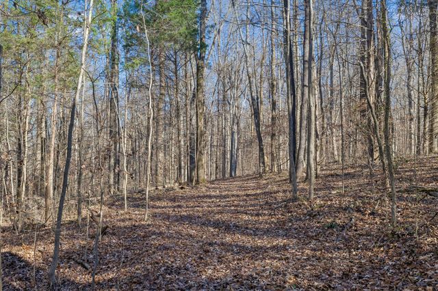 3819 Old Highway 13, Cumberland City, TN 37050