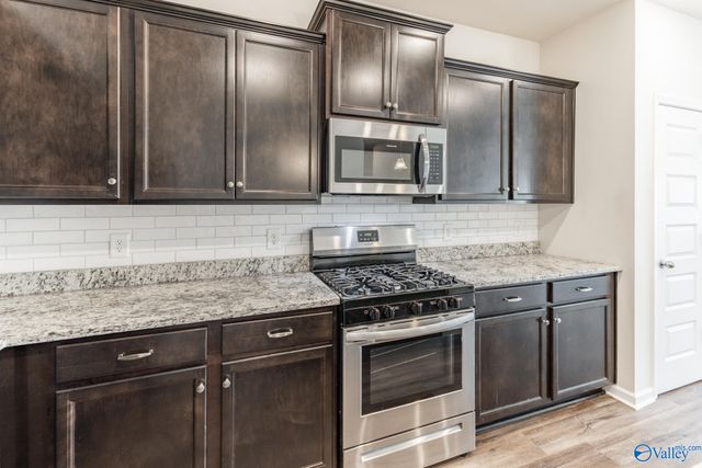 13019 Lantern Pointe Way, Harvest, AL 35749