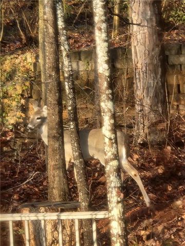4630 Young Deer Drive, Cumming, GA 30041