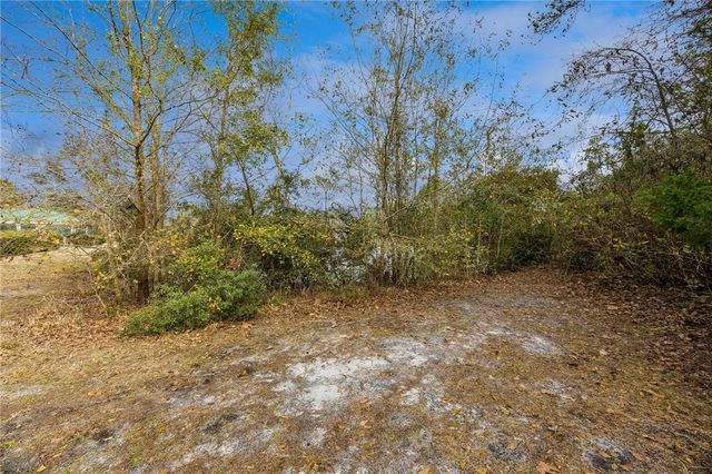 236 W Lakemont Drive, Kingsland, GA 31548