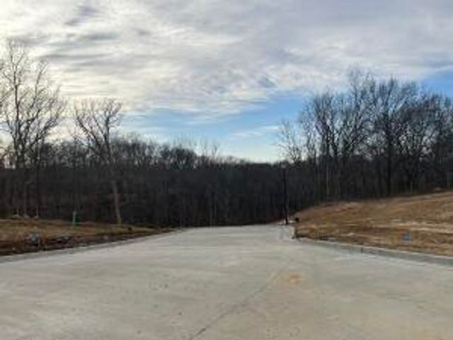 256 BOONE POINT SUBDIVISION, Boonville, MO 65233