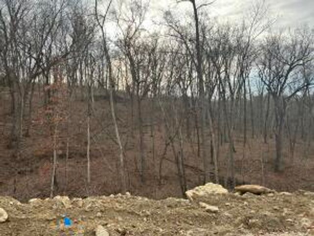 256 BOONE POINT SUBDIVISION, Boonville, MO 65233