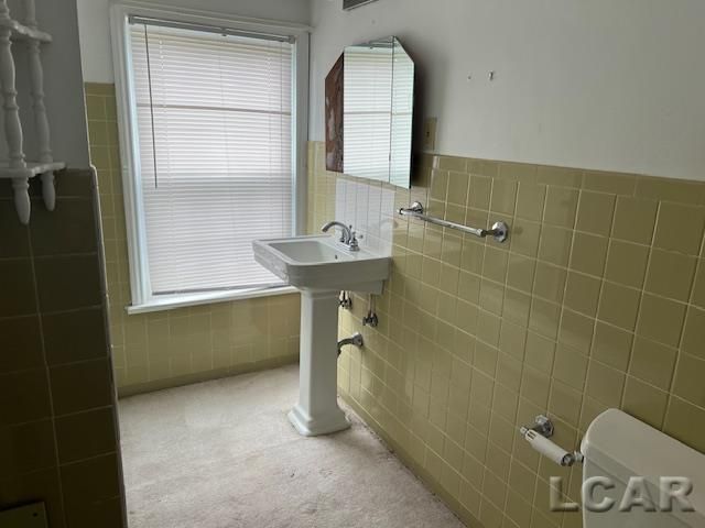 1010 W Valley Road, Adrian, MI 49221