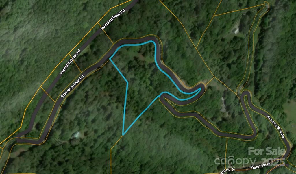 00 Running Bear Road, Hot Springs, NC 28743