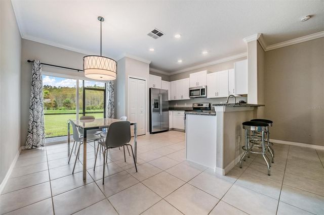 2166 GREAT SAPPHIRE LANE, Lutz, FL 33558