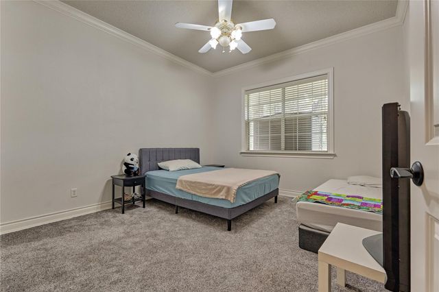 19959 Peel Road, Montgomery, TX 77356