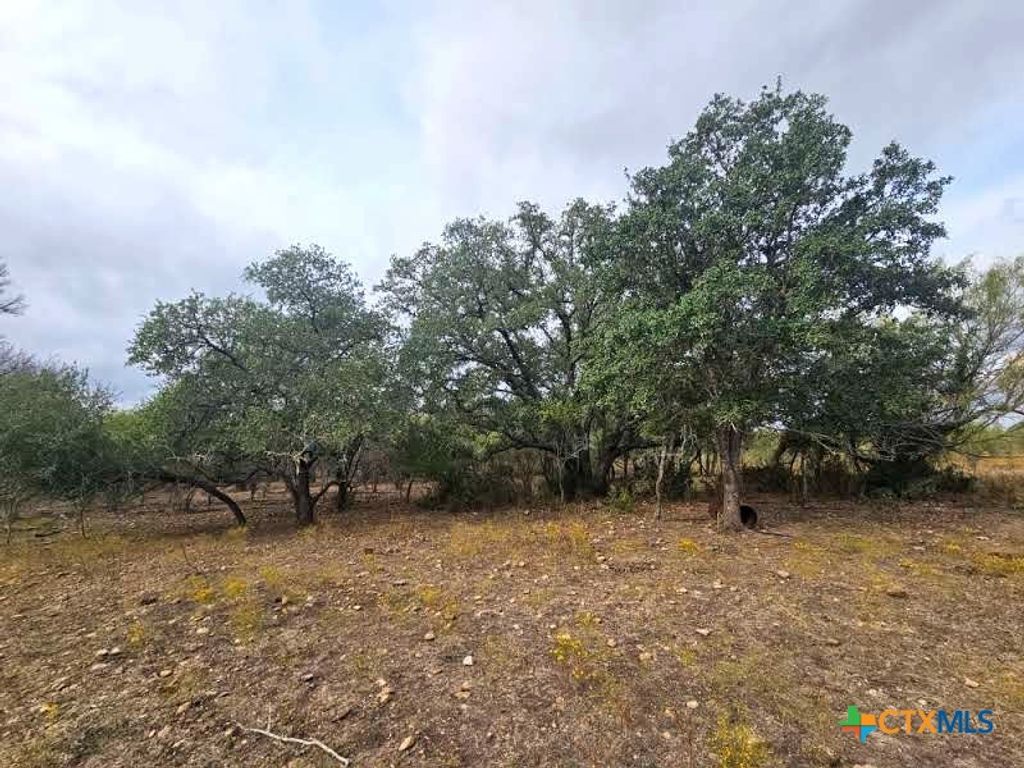 415 Black Watch Lane, Lockhart, TX 78644