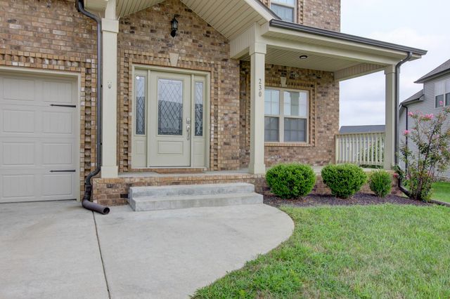230 Cotoneaster Ln, Clarksville, TN 37043