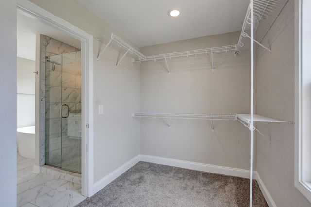 230 Cotoneaster Ln, Clarksville, TN 37043
