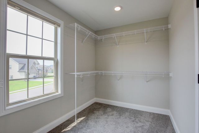 230 Cotoneaster Ln, Clarksville, TN 37043