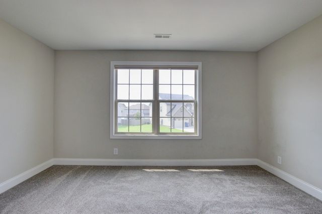 230 Cotoneaster Ln, Clarksville, TN 37043