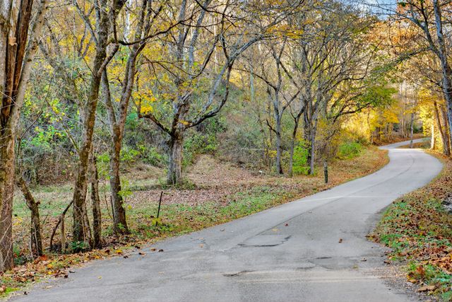 0 Rock House Hollow Road, Westmoreland, TN 37186