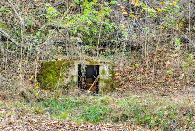 0 Rock House Hollow Road, Westmoreland, TN 37186