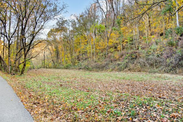 0 Rock House Hollow Road, Westmoreland, TN 37186
