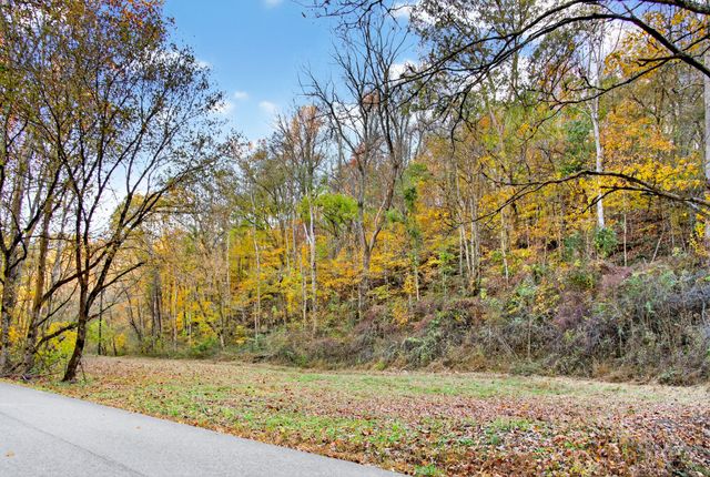 0 Rock House Hollow Road, Westmoreland, TN 37186