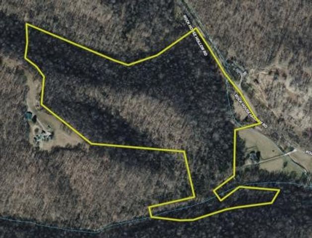 0 Rock House Hollow Road, Westmoreland, TN 37186