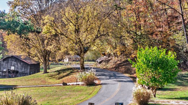 0 Rock House Hollow Road, Westmoreland, TN 37186