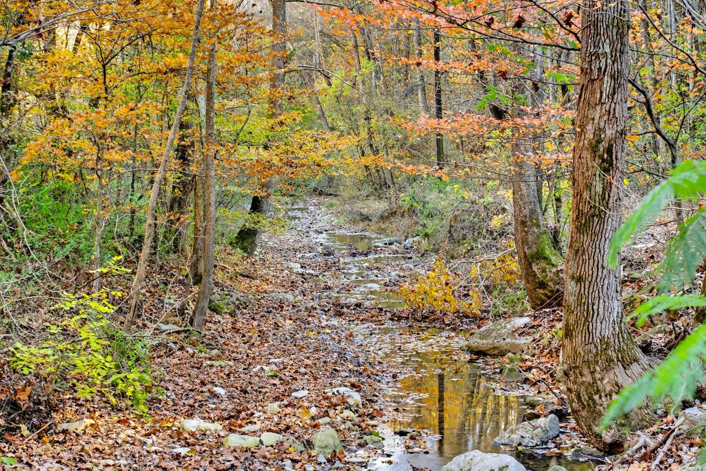 0 Rock House Hollow Road, Westmoreland, TN 37186