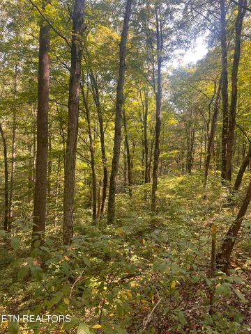 346 Wolfenbarger Lane, Luttrell, TN 37779