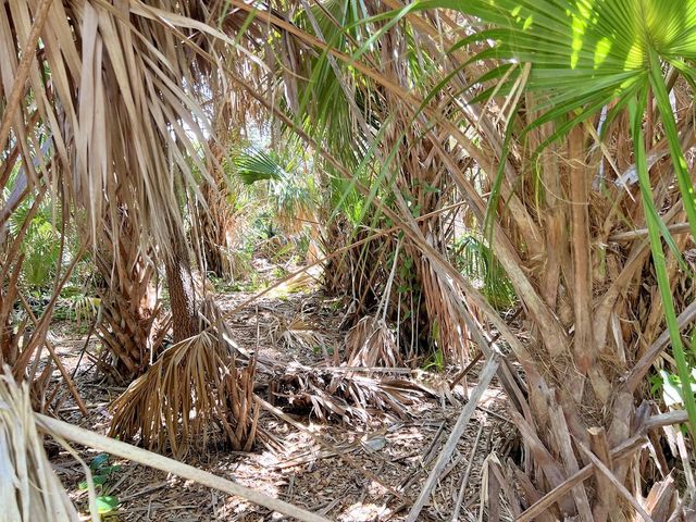 MAC CAUGHEY DRIVE, North Port, FL 34287