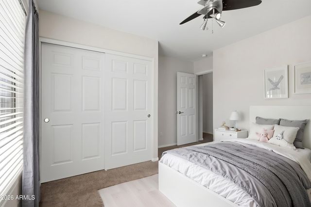 223 W RAVEN Drive, Chandler, AZ 85286