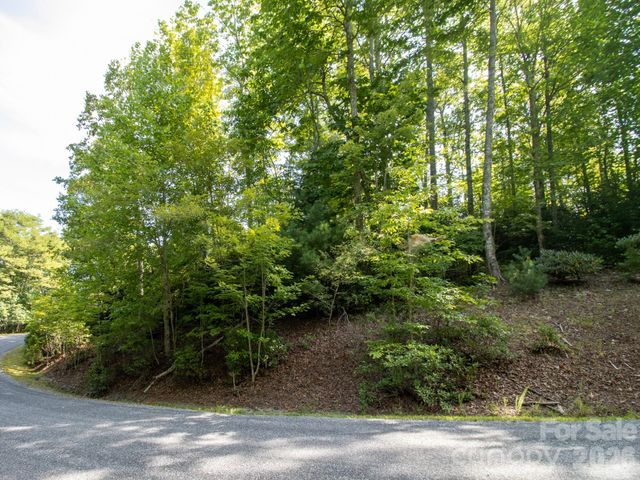 TBD Kelly Mountain Road 19, Brevard, NC 28712