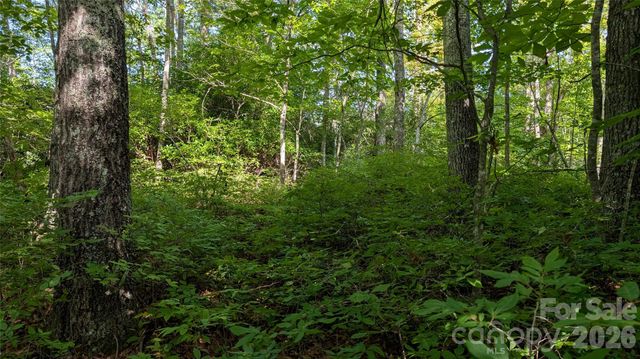TBD Kelly Mountain Road 19, Brevard, NC 28712