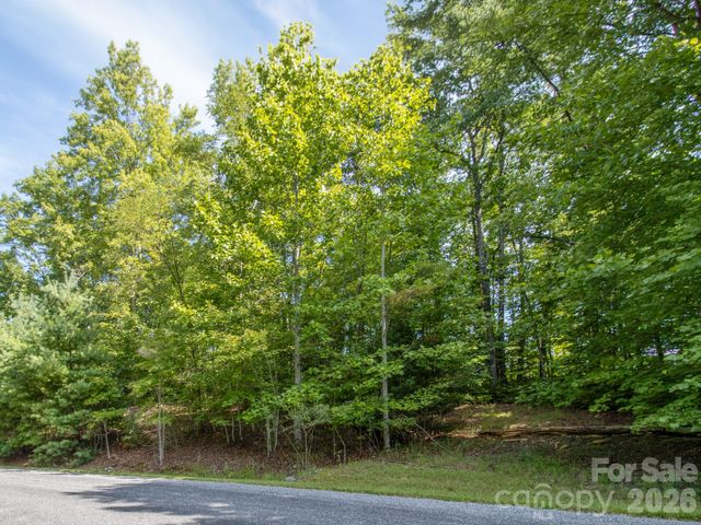TBD Kelly Mountain Road 19, Brevard, NC 28712